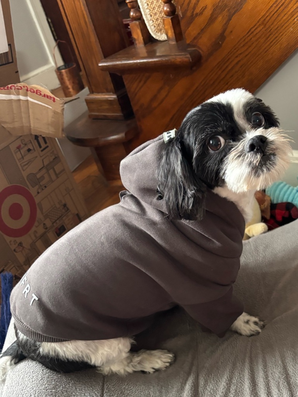 COMFRT- Cozy charcoal Dog Hoodie - M